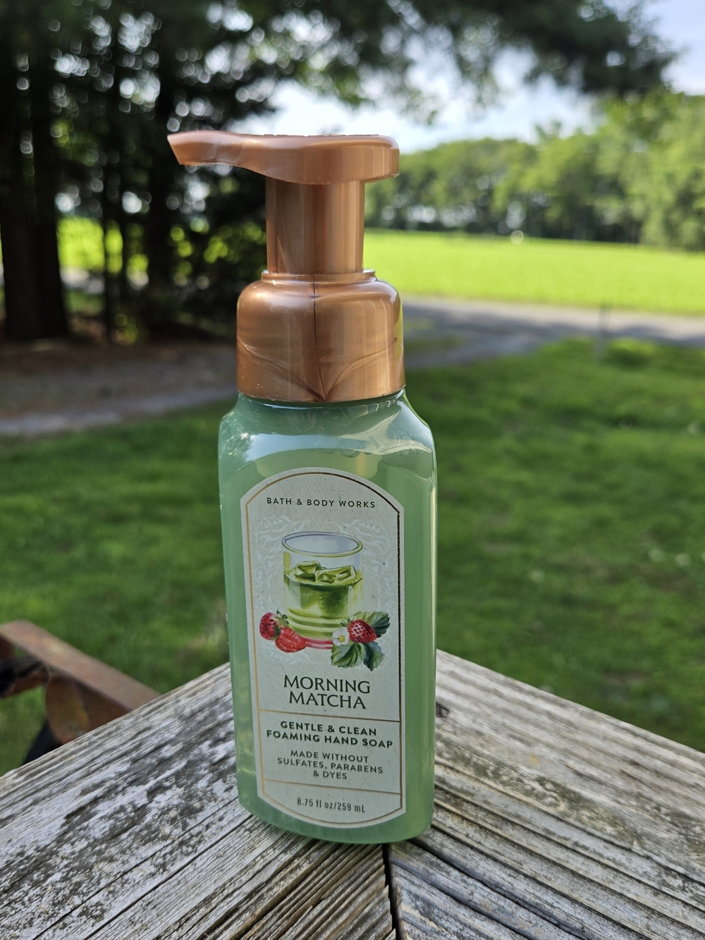 Bath & Body Works Morning Matcha Foaming Hand Soap - Green & Copper